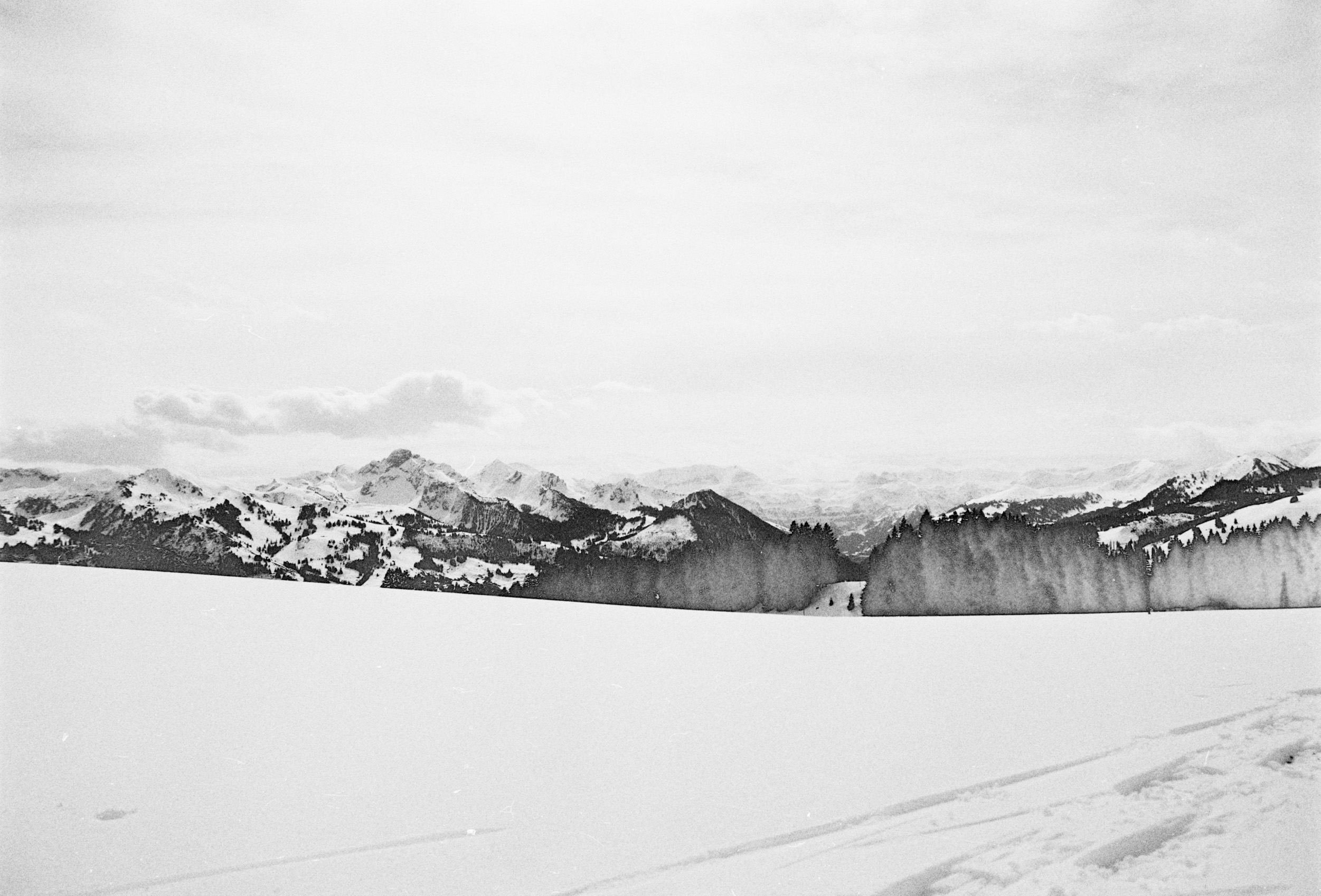 Alpenhorn